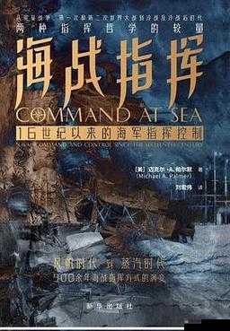 世纪海战心得之轻松过图,策略与技巧的完美融合