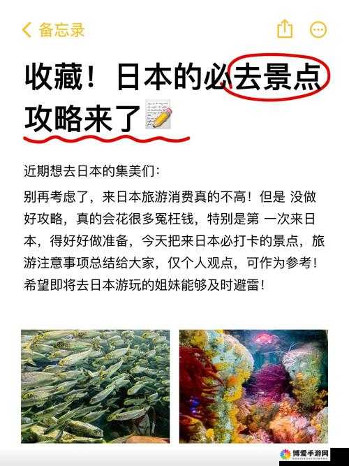 日韩午夜：探秘神秘而迷人的东方深夜魅力之旅
