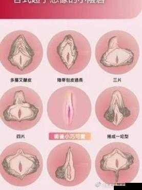 女同性互添互自慰专区：探索女性私密世界的独特视角