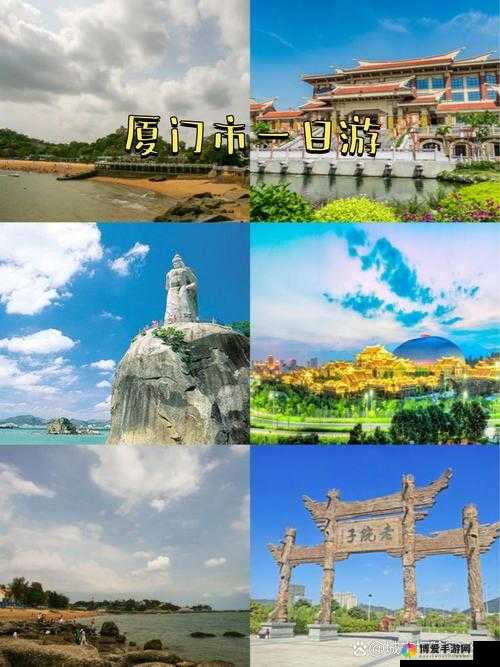 福建大菠萝官方网站：带你领略独特的福建风情与魅力