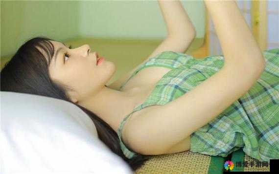 精品无人乱码一区二区三区：优质内容的聚集地，满足你的所有需求
