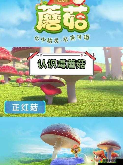 蘑菇mogu官方网站:探索精彩世界的优质平台