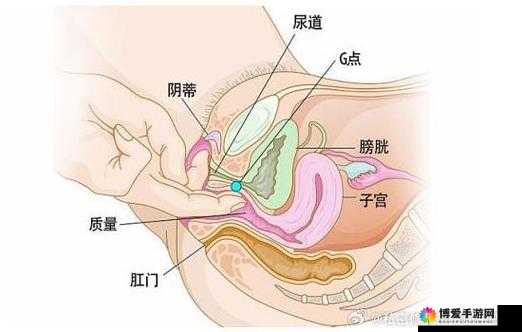 大荫蒂黑又大毛茸茸高清：独特的私密之美呈现