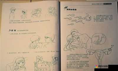 关于操逼相关内容的深入探讨与分析
