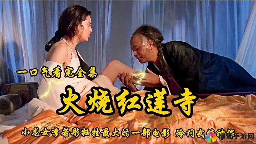 四川 BBB 搡 BBB 爽爽爽电影：极致感官体验之佳作