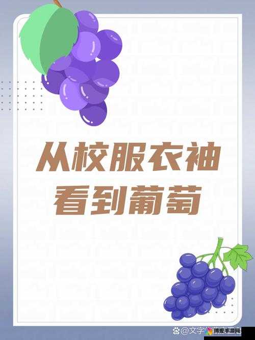 从校服衣袖看到葡萄:一段充满诗意与想象的奇妙描述