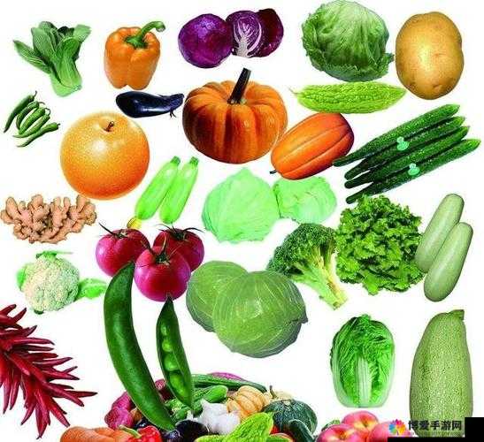 各种口味的水果和蔬菜:芒果、草莓、茄子、丝瓜、黄瓜 2 的奇妙组合