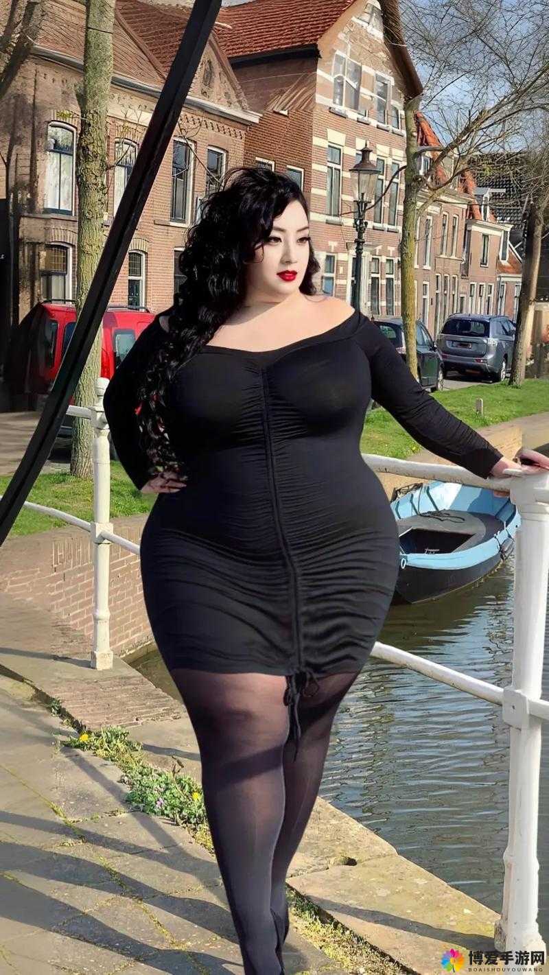 欧美老妇 BBWBBWA 片：丰满成熟的魅力之选