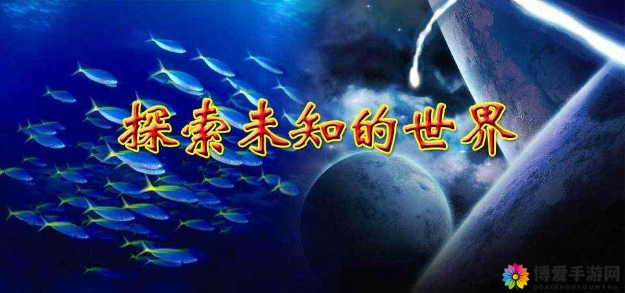内射插插插九六:探索未知的私密世界