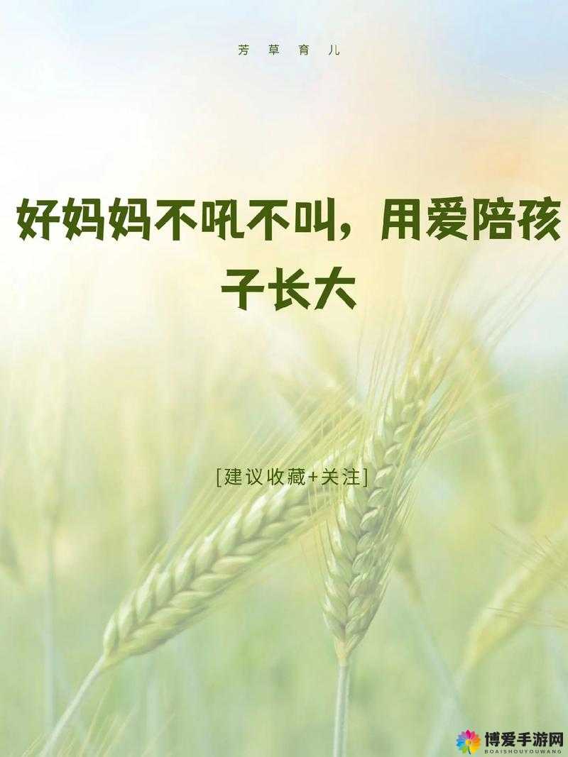 JAVAPARSER 好妈妈儿：探索其独特魅力与应用价值