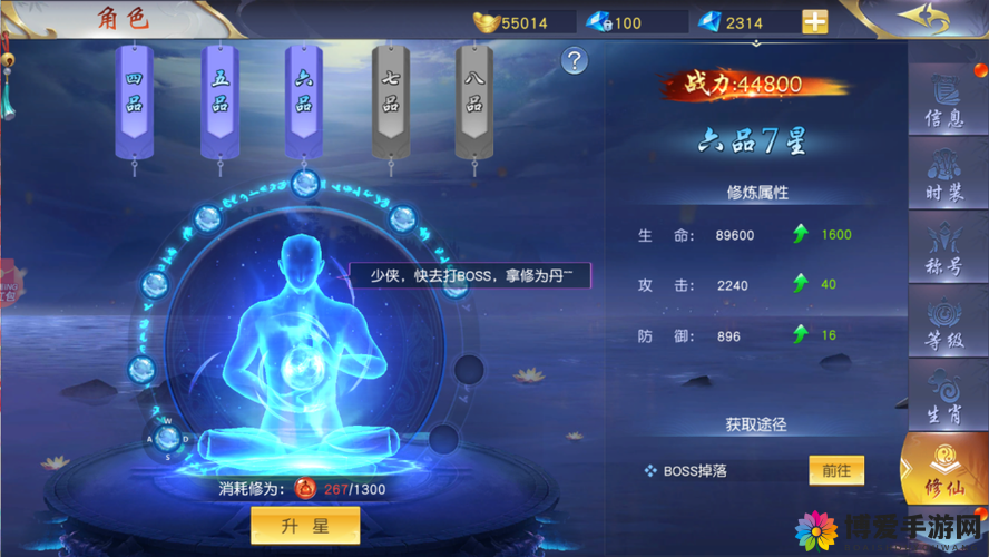 天造仙缘战宠技能，资源管理的艺术与策略