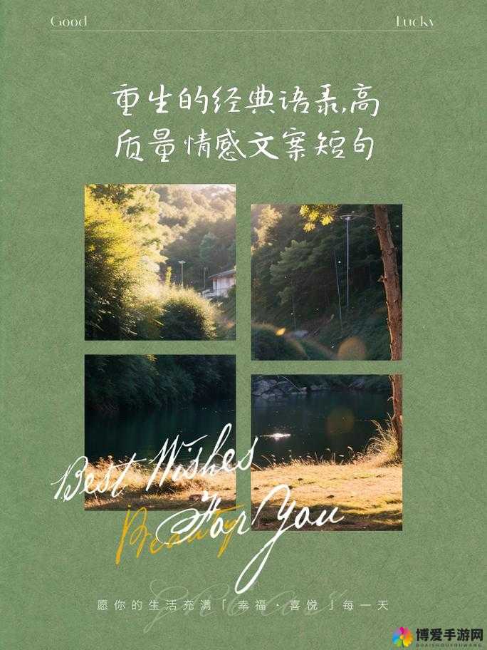 坏坏童话,重塑经典,策略致胜的奇幻之旅