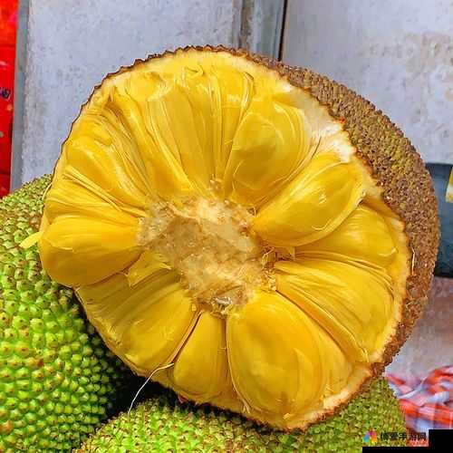 探秘亚精产品一三三三菠萝蜜:揭开神秘面纱发现独特魅力