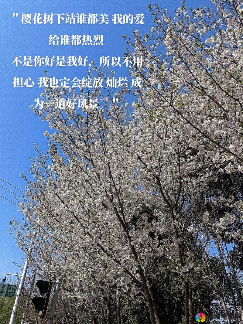 b 站入口 2024 永不关闭：愿你我都能在哔哩哔哩留下青春足迹