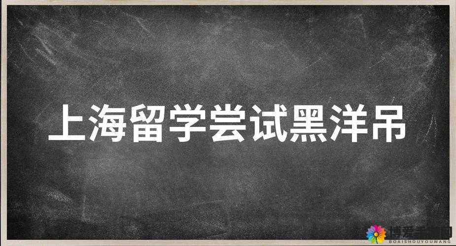 91 留学生愛洋吊ⅩⅩⅩHD：跨越文化的爱情与探索