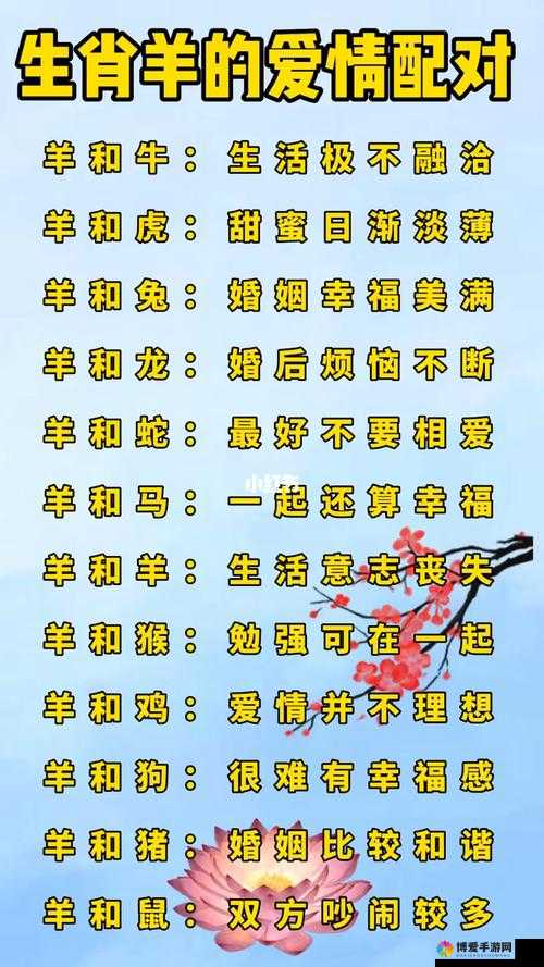 人一般需要配几只羊？