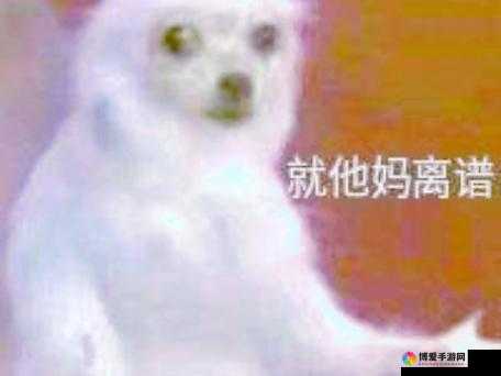肥岳啊～啊你 TM 别 了：令人震惊的奇妙情节