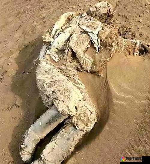 在罗布泊无人区发现的神秘编码 6229jm 背后隐藏着怎样的秘密