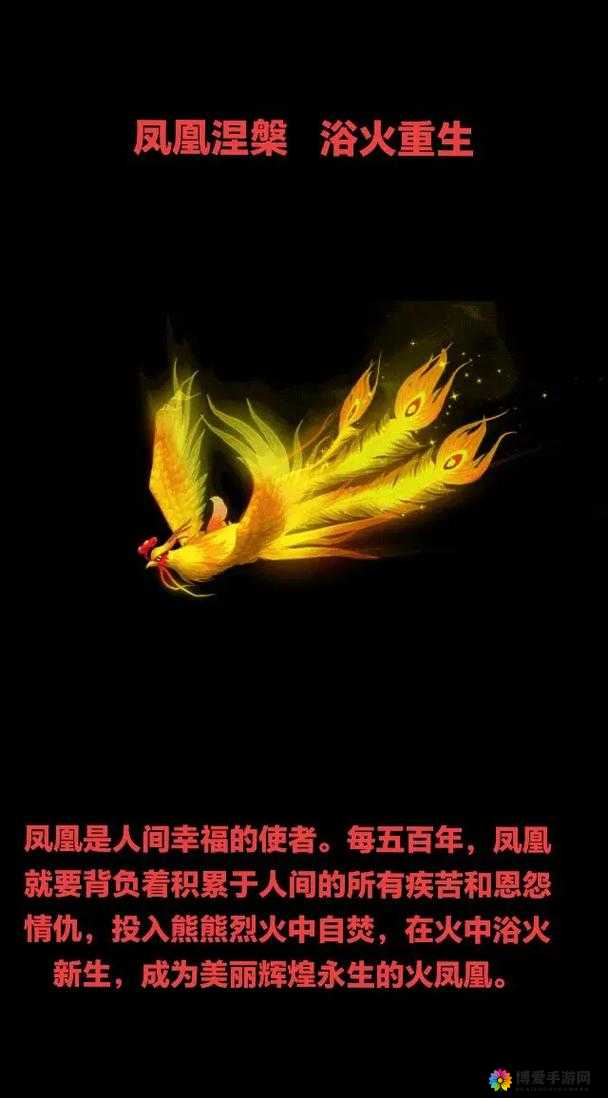 马红俊的 y 神传承银雪大结局：浴火凤凰涅槃重生