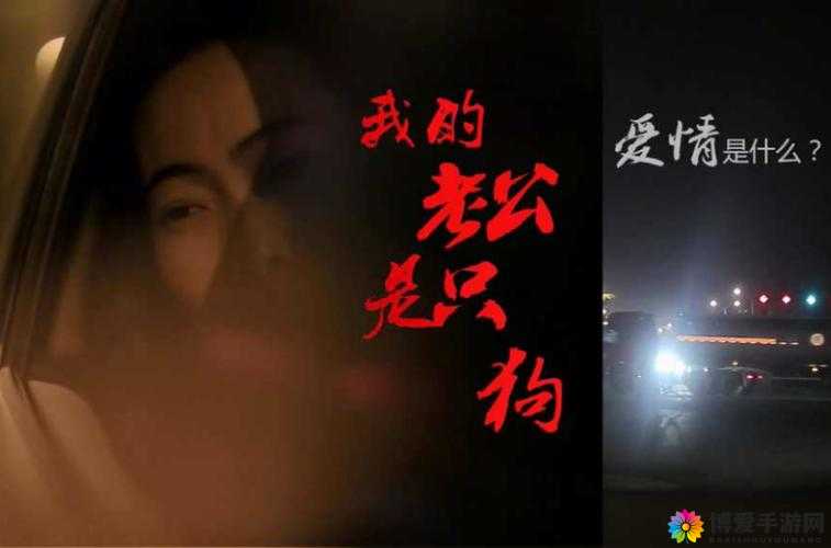 我的老公是条狗:白珍丽山本一郎的奇妙生活