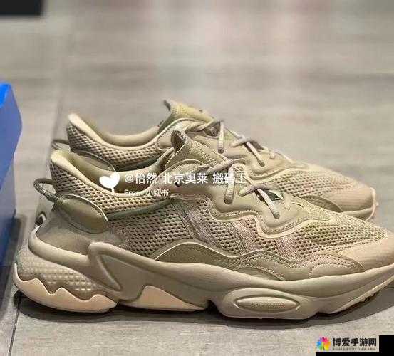 三叶草 gy3251：关于其独特属性与重要意义的探讨