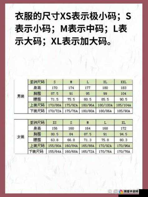 欧美 S 码亚洲码精品 M 码：时尚尺码的精致之选与独特魅力