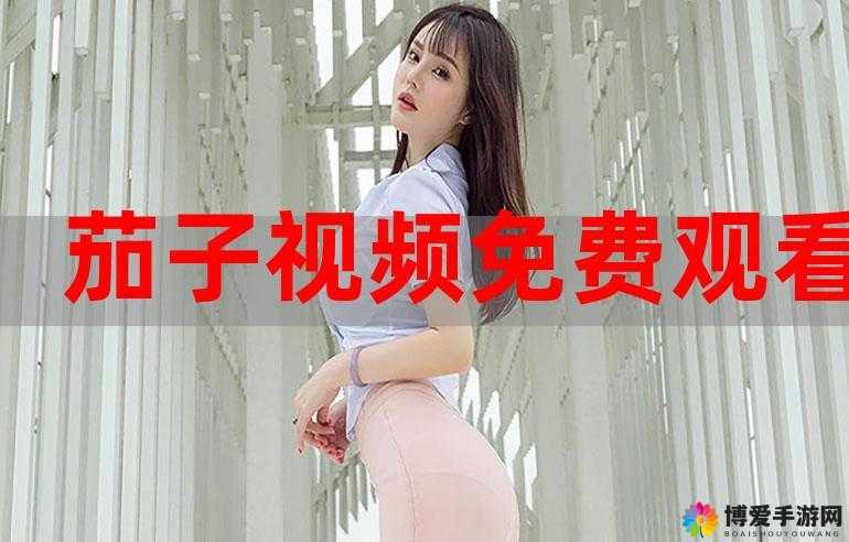 茄子成视频人 APP 污：独特精彩内容等你来探索