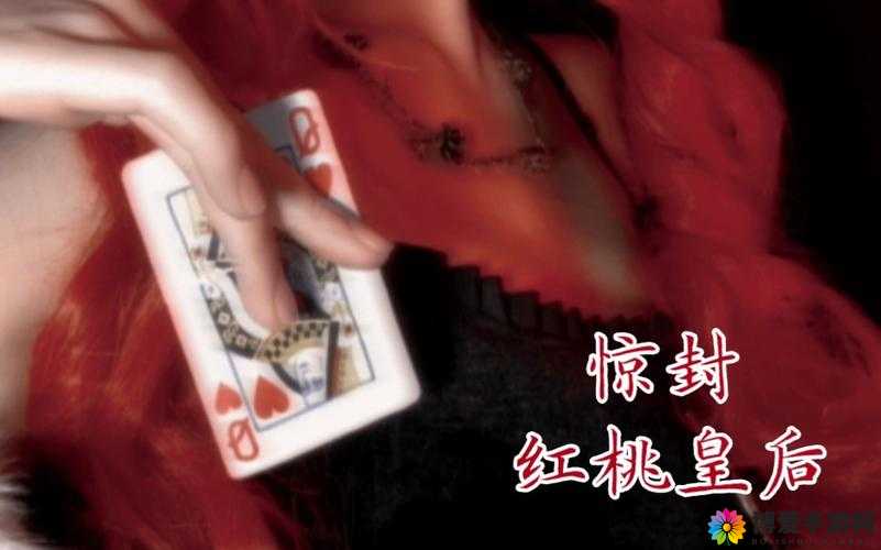 红桃视频：带来精彩的视频内容体验