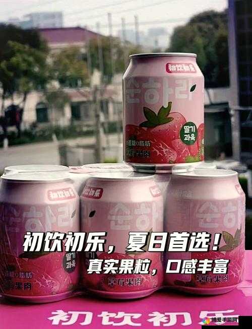 蜜桃草莓荔枝 375ML：美味水果饮品的独特魅力展现