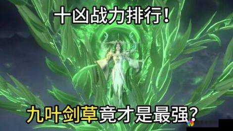 银角狰的鬃毛-探秘其背后的神秘力量与传奇故事