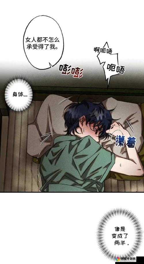 羞羞漫画登录页面免费漫画看秋蝉：精彩漫画等您来探索