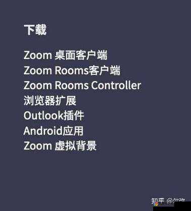 另一类 Zoomcloudmeetings 全新功能与优势解读