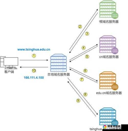 tai9vip 域名查询：全方位解析与深入探索之旅