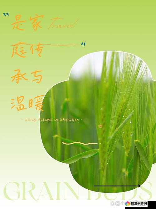 儿子耕种母亲的田地：家庭责任与爱的传承