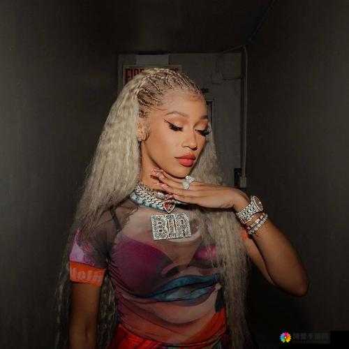 美国新黑人女 RAPPER 的独特音乐魅力与个性表达