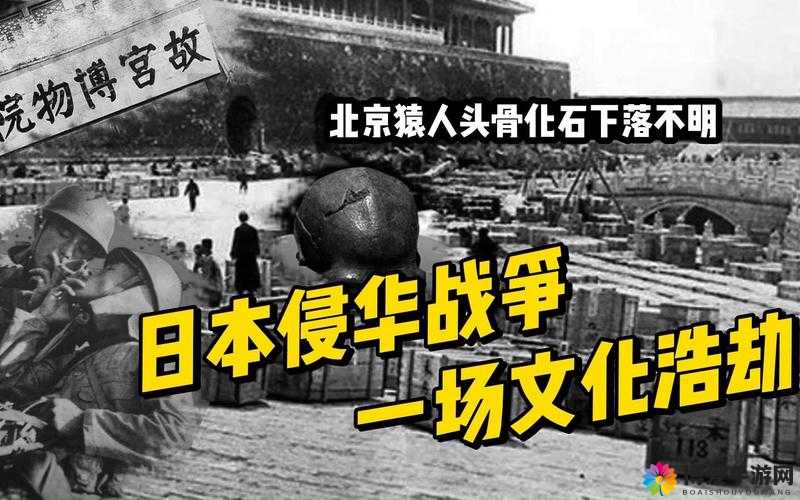 娇小枯瘦日本xxxx:其背后的文化与历史探究