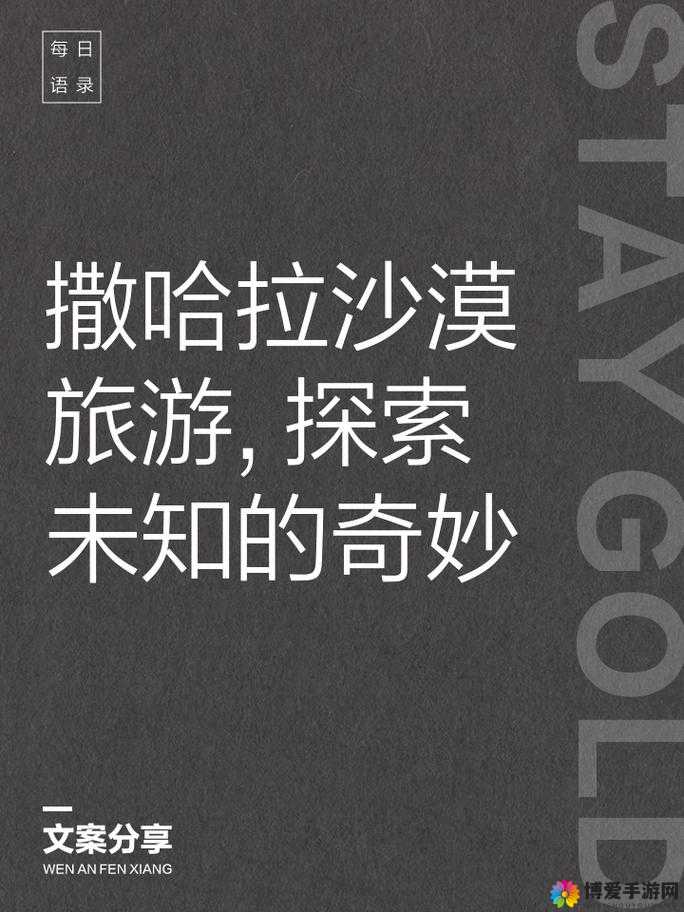 一只手刚好能握住：探索其中蕴含的奇妙与未知