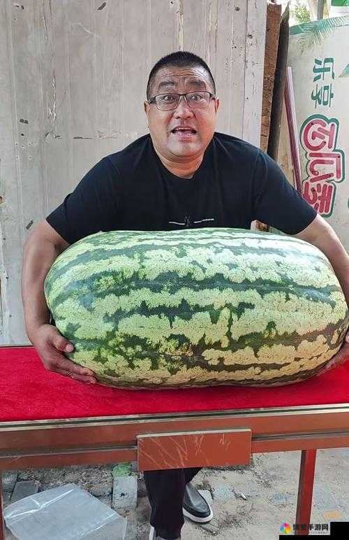 51 每日必吃大瓜热门 top1-每日送上最新鲜最热门的大瓜资讯