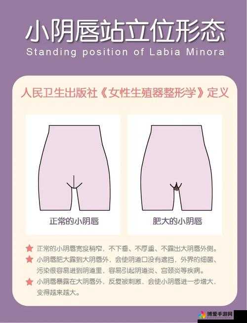 日本熟妇毛葺葺：女性私密部位的自然之美