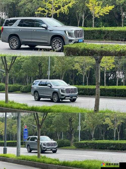 国产欧美大尺寸 SUV 欧美：探索其独特魅力与卓越性能