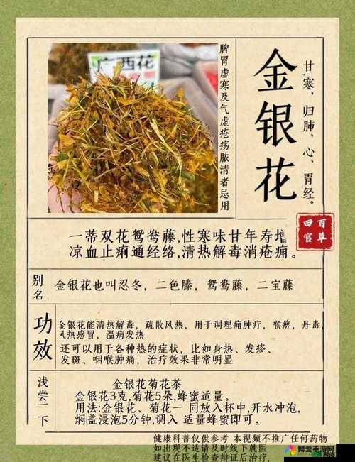 双管齐下TXL 金银花:天然植物的独特魅力与多样功效
