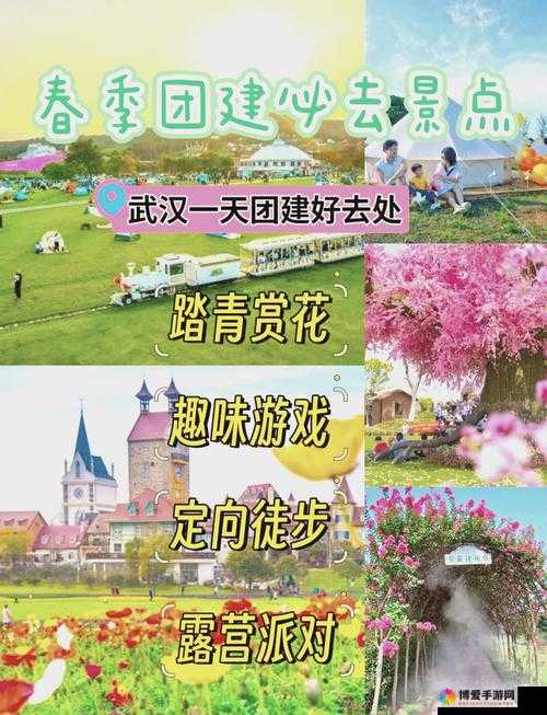 探索新洲区香草伊甸园景区：一场浪漫且充满惊喜的奇妙之旅