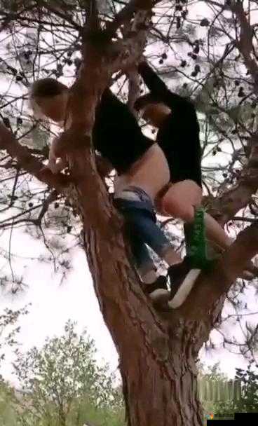 九一传媒棒棒要 b 在线观看：探索成年人内容的魅力与激情