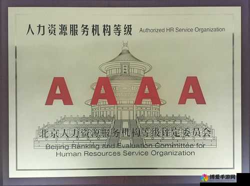 AAAA 级与 AAAA 级怎么标：详细解读与规范指引