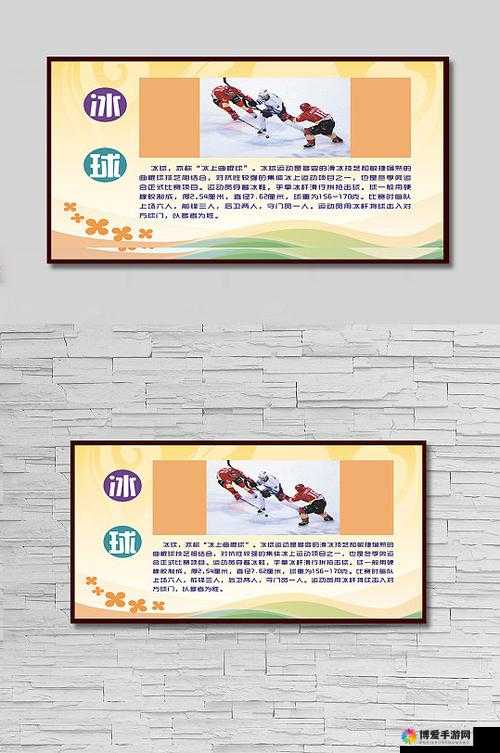 尾巴插件 PLAY 冰球：精彩冰球运动的魅力展现