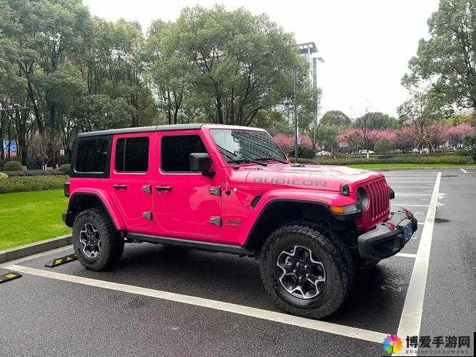 桃红色 Jeep 主打进口：畅享独特魅力的高端座驾选择