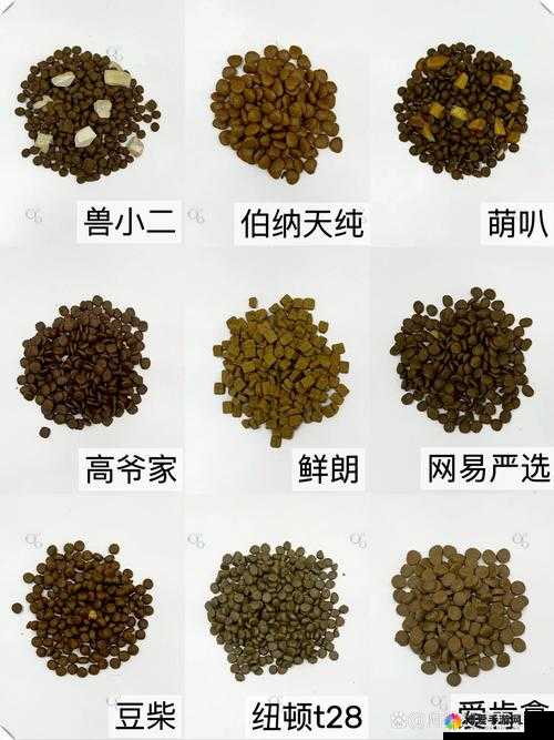 狗狗和人胶配方大全高清：全面详细实用的配方汇总