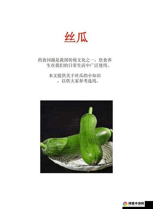国产丝瓜啪：探索中国传统文化的魅力