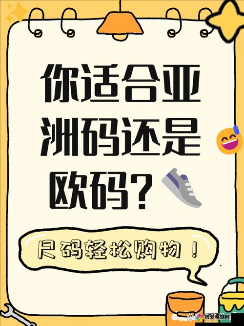 三叶草 M 码和欧洲码的区别：深入探究两者差异与特点