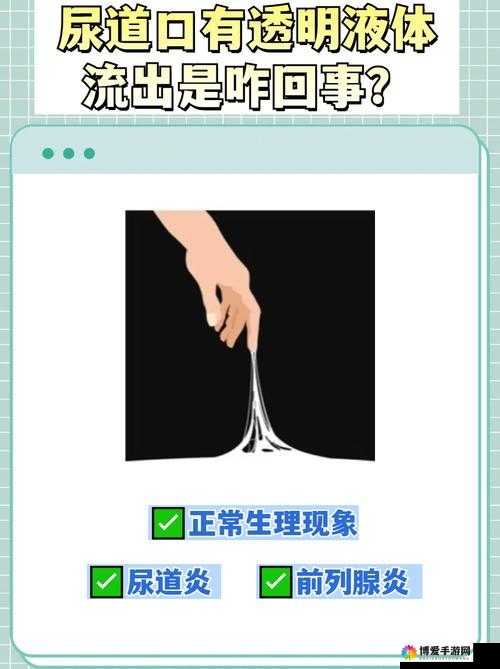 下面流了好多透明液体怎么回事：探寻其背后的原因